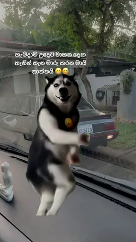 😁💔#srilankan_tik_tok🇱🇰foryou #1000000views #lancer #kdhlovers 