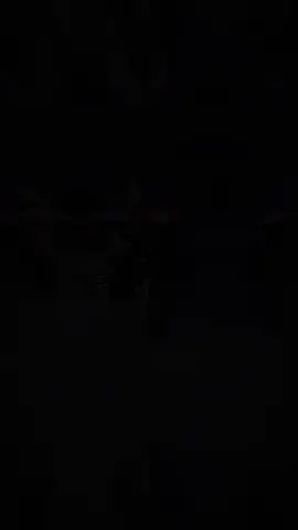 #hurghada_الغردقه #الشعب_الصيني_ماله_حل😂😂 #هوجن4جامبو #fyp #foryoupage  اول اير في مصر اير سسبنشن هوجن 4  اول اير علي موتسيكل كله بفضل ربنا رقم واحد 😎😎🔝🔝🔝