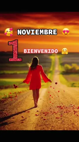 #bienvenido  mes de Noviembre ✨️🥰😍♥️