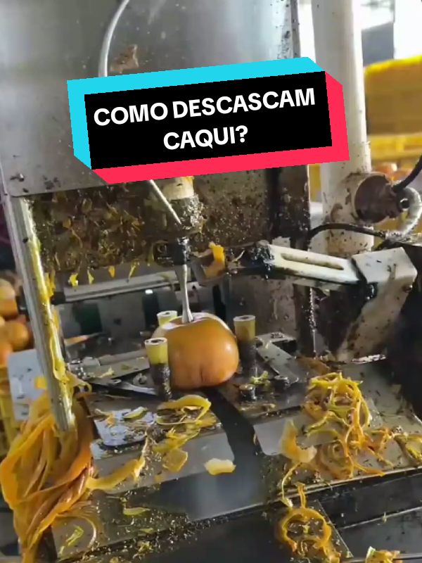 Como descascam Caqui? #curiosidades #curioso #trabalho #tecnologia #vaiprofycaramba 