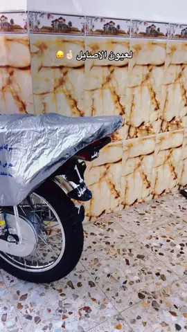 #رضاوي😎 #الحله_مدينتي #مشاهدات #creatorsearchinsights 