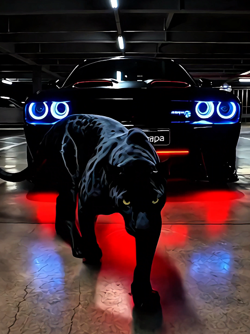 Dodge Challenger and Black Panther 💀 #cars #trending #SRT #dodge #dodgechallenger 