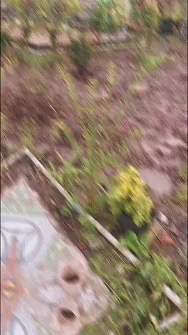 #CapCut loading 90% rồi  a em