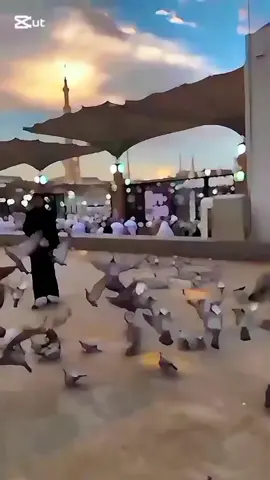 #creatorsearchinsight ❤️❤️❤️❤️❤️❤️❤️❤️ #foryou #fyp #trending #viralvideo 