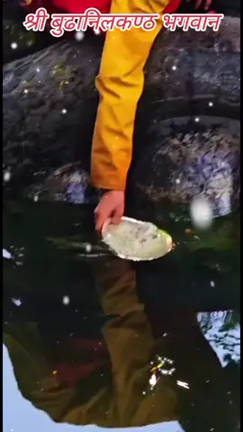 #creatorsearchinsights @Hira Laxmi maharjan (hisi) @Resha Maharjan @हाम्रो कला संस्कृति @padmasagarkakshap @Aniel R Pandey @Anil K Adhikari @ashu cosmetic @ktmjatra @sajani shakya @🔱Mahakaalratri🔱 