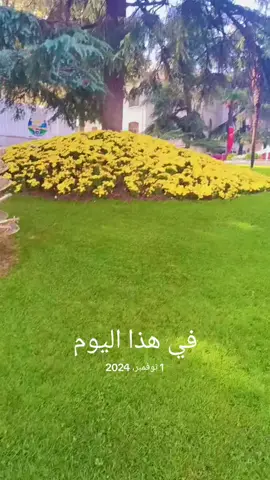 #في هذا اليوم #عن جمال الطبيعه 