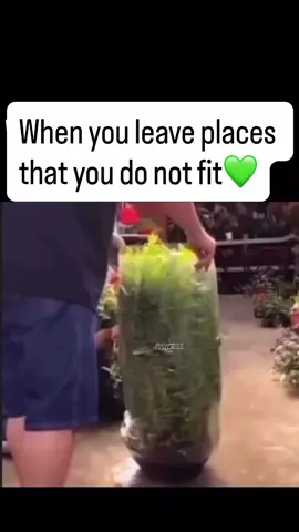 When you realize there's no space for you.... respect yourself enough to walk away...... flow in abundance baiby#goviralvideo #fyp #kenyantiktok🇰🇪 