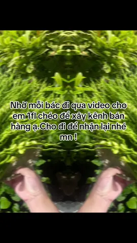 Cùng tương tác chéo nhau để xây kênh nào các bác ! #xâykenhtiktok #xuhuongtiktok 