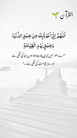 Beautiful Islamic Video 🥀 #NamazReminder  #IslamicPosts  #HadithOfTheDay  #IslamicKnowledge  #QuranQuotes 