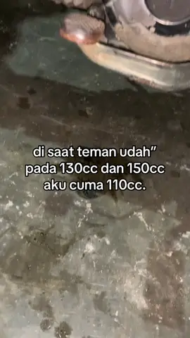 #vegarnew #5tpmenolakpunah #303style 