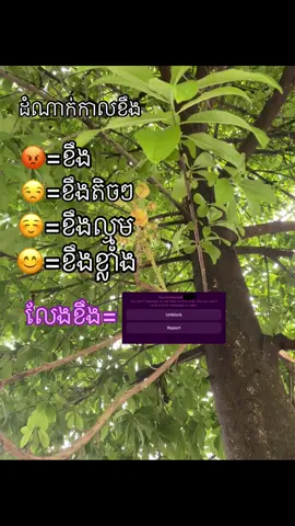 #សុំ❤️ម្នាក់មួយមកok🙏❤️❤️ #សុំស្គាល់ផងបងៗ😘❤ #នាទីធ្លាក់like💔🙃 #fyp 