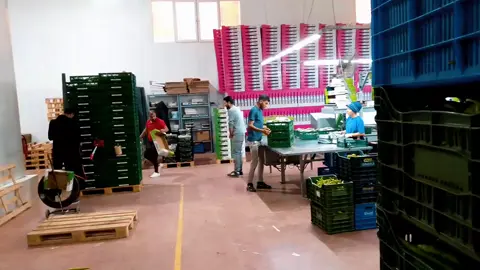 نتعتب ونشقى لاجل المال الحلال ،ومتحملين ناس أهلها مو طايقين شوفت وجوهم👍