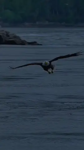 Assalamualaikum  #fyppppppシ゚❤️ 