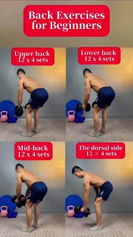 💯💪Beginner-Friendly Dumbbell Back Workout #muscles #Fitness #back #training #gymmotivation 