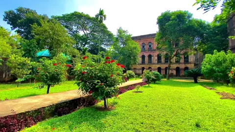 আমার হাত ধরতে গেলে