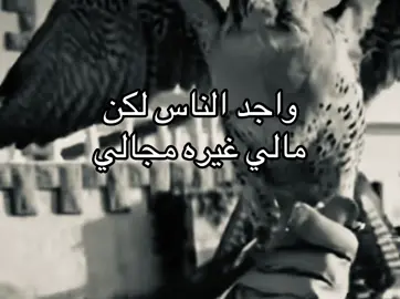 #fyp #explore #4u #fy 