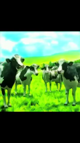 wake up it's the first of the month #fyp #wakeupitsthefirstofthemonth #fypviral #foryou #trending 