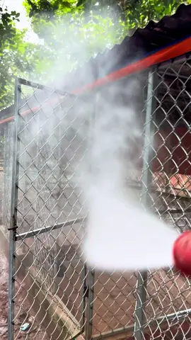 Men rắc chuồng tiêu phân hút ẩm khử mùi hôi giúp chuồng trại sạch thơm gà khỏe mạnh#ganoi #gada #channuoiga #menraichuong #tieuphankhumui 