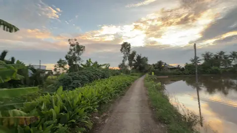 Nay bày đặt chạy xe,ai dè vd rung như máy cày#canhqueyenbinh #cảnhđẹpthiênnhiên #xuhuongtiktok #xhtiktok #chill 