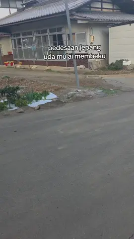 uda mulai musim salju di jepang #tkijepang #jepang🇯🇵 #fyp 