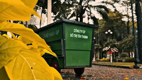 người hùng thầm lặng của mọi con phố. #viral #baovemoitruong #cinematicvideo #cinematography #fyp 