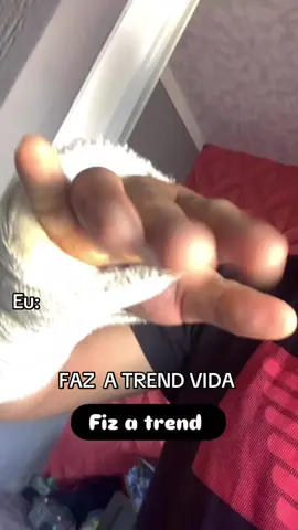 TREND DO MOMENTO EU 🤡 #trends #humor #tiktokviral 