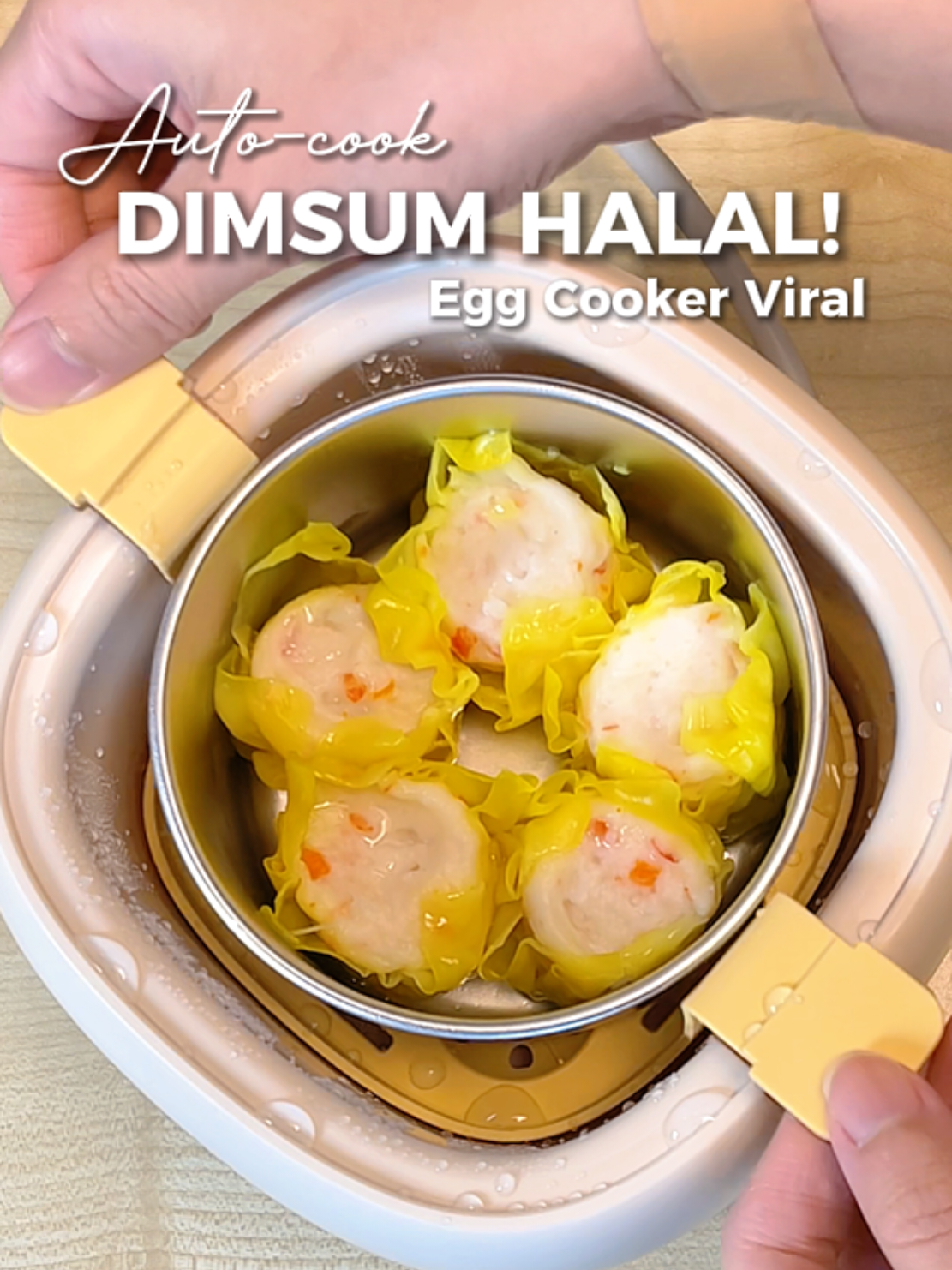 POV: Siapa kata egg cooker cuma boleh rebus telur? 🥚 Ni ha, dimsum halal pun boleh steam! 😋 Kecil tapi multifunction gila~!! #egg #eggsteamer #eggcooker #telur #steamer 