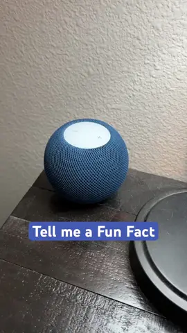 Hey Siri, Tell me a Fun Fact 🤔