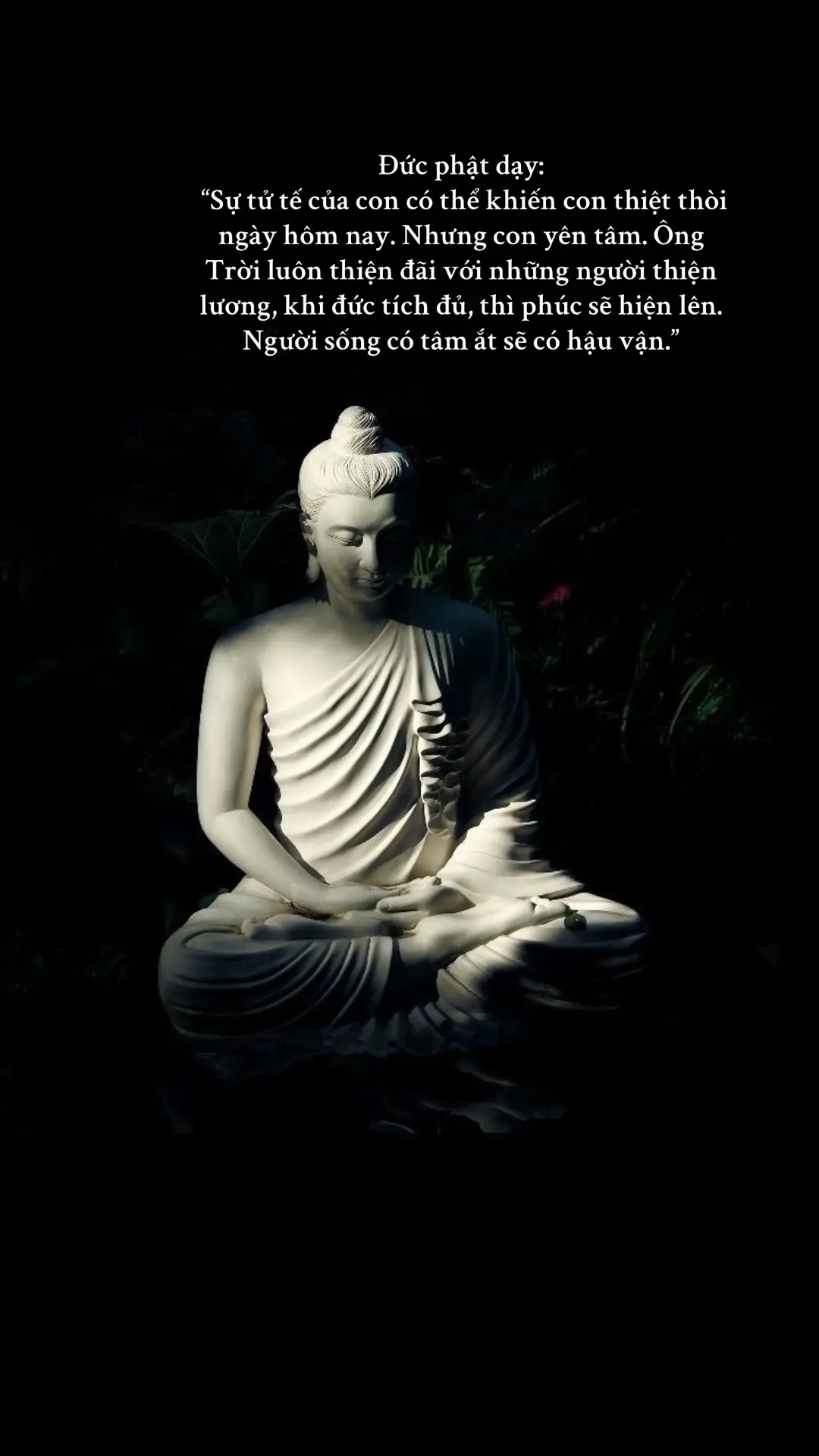 #phatphapnhiemmau #viral #loiphatday🙏 #buddhism #buddha 