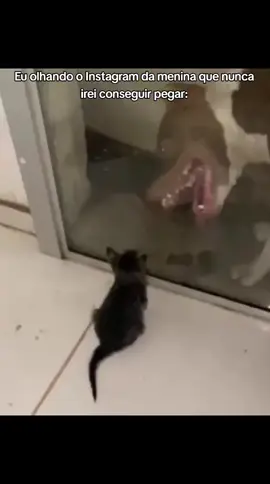 #fyp #foryou #meme #humor #instagram 