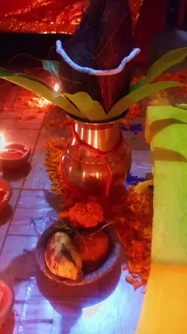 #Jay tulsi mata rani🙏❤️