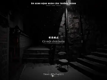 我在黑夜里长大，早已忘了天亮的模样。Có lẽ em lớn lên trong đêm tối nên đã quên dáng vẻ của bình minh rồi . .                                  _                                                                 _  #nhactrungquoc #负重一万斤长大 #vietsub #trungquoc #yinyue0211 