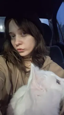 я люблю Сору 