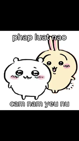 Pháp luật nào cấm nam yêu nữ… #chiikawa #usagi #hachiware #cuteanime #trending 