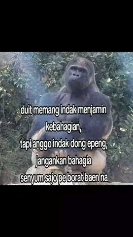 permasalahan ni jolma mabo#fyf #mandailingnatal #masukberandafyp #bataktiktok #fyppppppppppppppppppppppp 