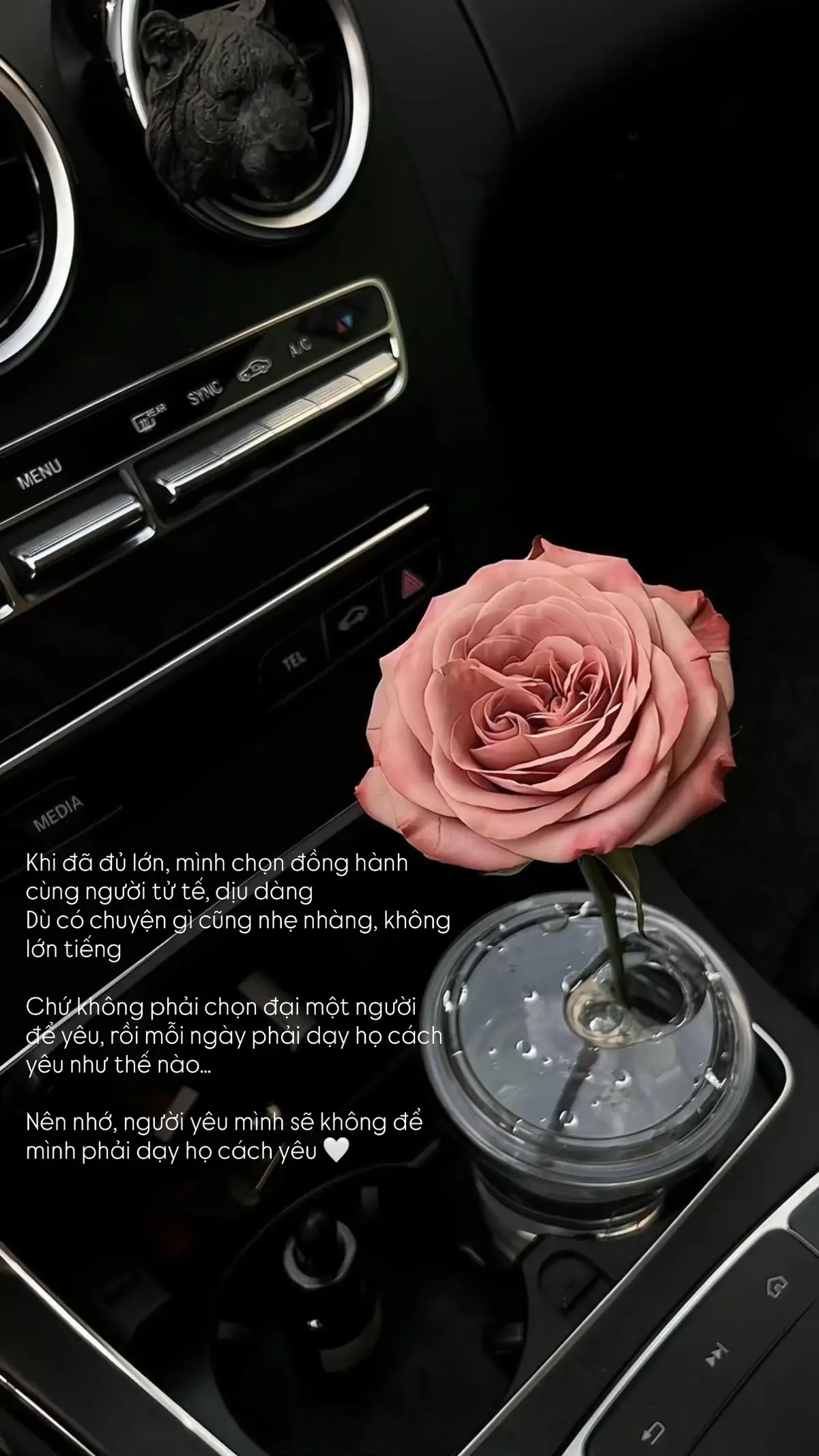 Nhớ nhé, người yêu mình sẽ không để mình phải dạy họ cách yêu 🤍