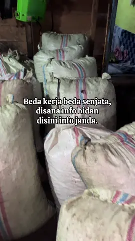 Adakah yang anak 1 aja🤣@ikoriansyah @Hasankenz @Putra gacor #fypシ #fyp #fypdongggggggg #kopigayo #xbcyza 