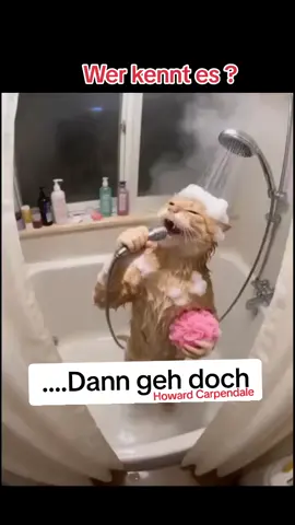 #schlager #musik #song 