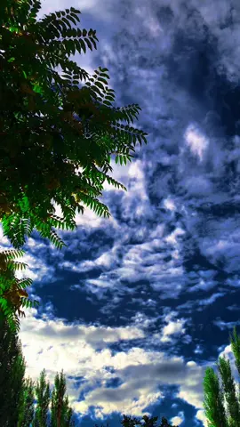 نہ وہ وَقت رہا، نہ وہ شوق رہے، نہ وہ ضِد رہی، نہ وہ ہم رہے۔۔۔🙂🖤 #fypシ゚ 