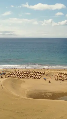 20605213-hd_720_1280_30fps