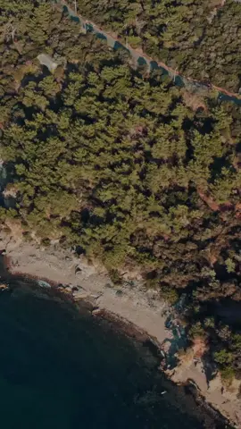 13097007_720_1280_30fps