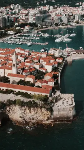 11900246_720_1280_30fps