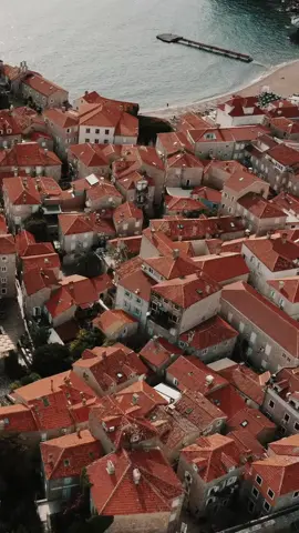 11900242_720_1280_30fps