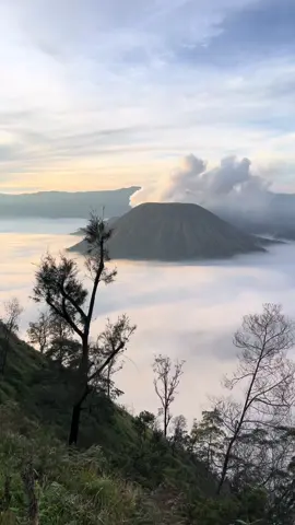 Bromo🗻#fyp #bromo #bromotenggersemeru #bromoviapasuruan 