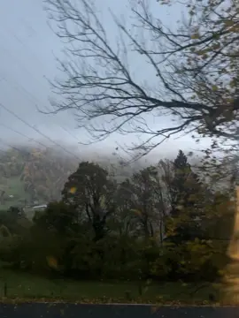 Không phải ai cũng thích hợp để cùng nhau sống đến bạc đầu, có người thích hợp để cùng cậu trưởng thành, có người thích hợp để cùng nhau chung sống, lại có người chỉ thích hợp để nhớ nhung cả đời.  Cậu phải tin rằng sẽ luôn có một cuộc gặp gỡ, là thật lòng thích nhau, là thưởng thức lẫn nhau, là đi qua biển người mênh mông, người ấy vì cậu mà đến. | 𝑴𝒆𝒆 𝒅𝒊̣𝒄𝒉 | #xuhuong #thanhxuan #viral #yeutham #vibes 