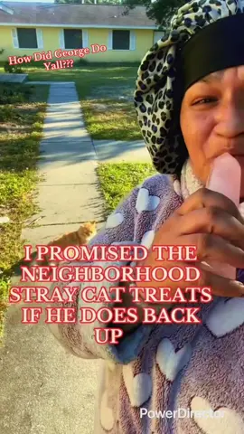 Call me Cat Lady!!! I promised our stray that’s been in the neighborhood over 4 years some cat treats if he sings backup in my music video!!! How did he do??? #catlover#catsoftiktok #catlady #straycat #relateablecontent 