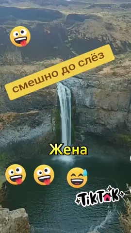 #Топ #смешнодослез #смехдослез #юморист ###