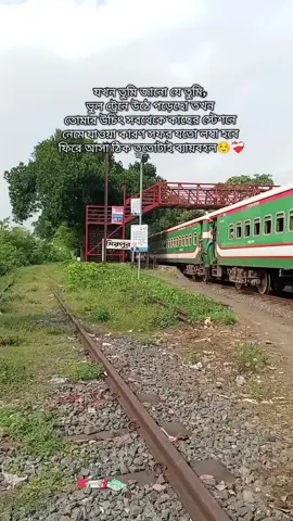 ফিরতে পারিনি এখন পর্যন্ত 😅 #kushtia #mirpur 