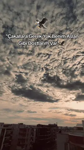 𝐒𝐓𝐎𝐑𝐘𝐋İ𝐊 | 𝐬ö𝐳𝐥𝐞𝐫 𝐛ı𝐫𝐚𝐤ı𝐧..🗽 #storilikvideolar📌 #baranergin #keşfet #fypシ゚ 