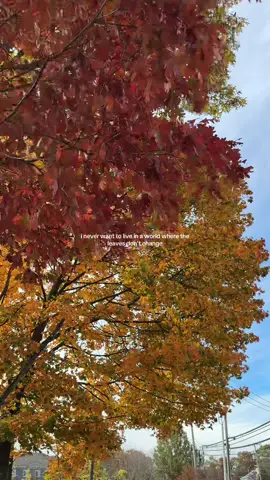 change is beautiful 🍂  #fallaesthetic #fallleaves #change #nature 